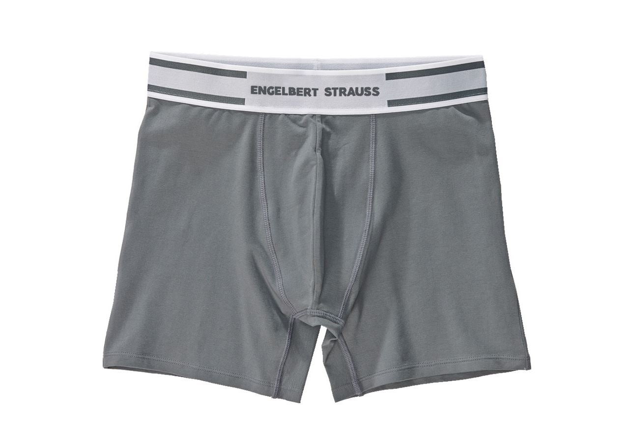Ondergoed | Thermokleding: e.s. Cotton stretch longleg boxers + cement/wit