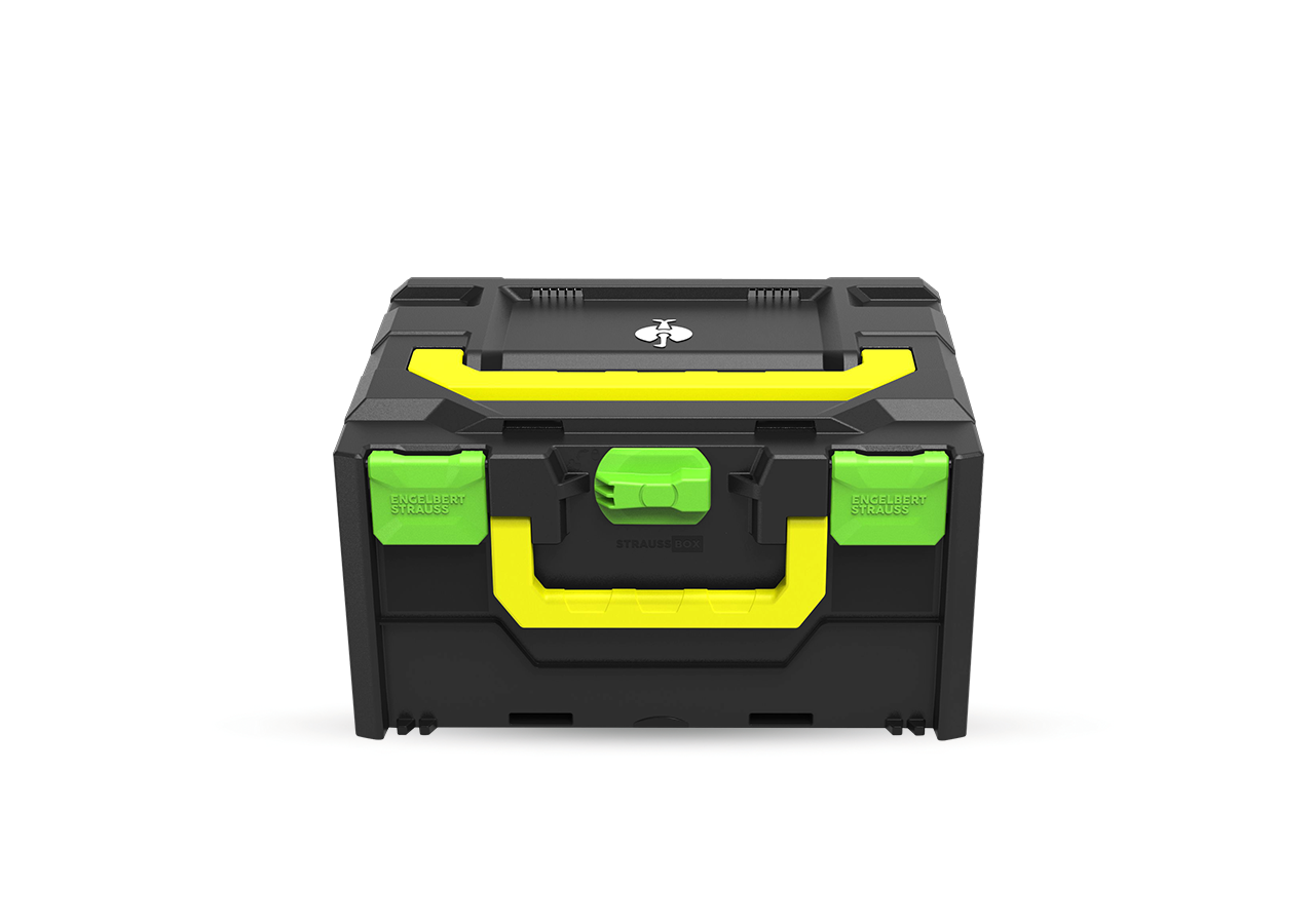 STRAUSSbox Systeem: STRAUSSbox 215 midi Color + zeegroen