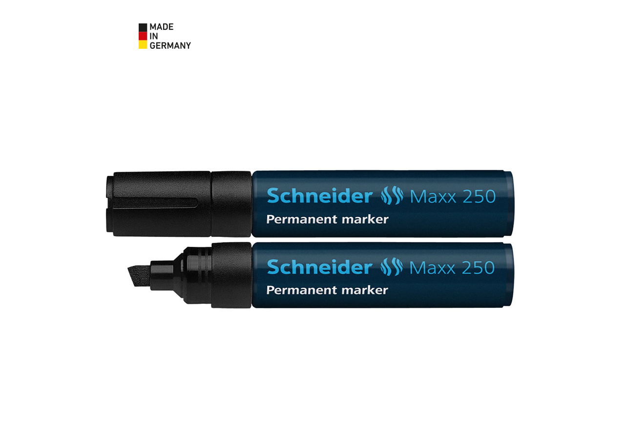 Schrijven | Corrigeren: Schneider Permanentmarker 250 + zwart