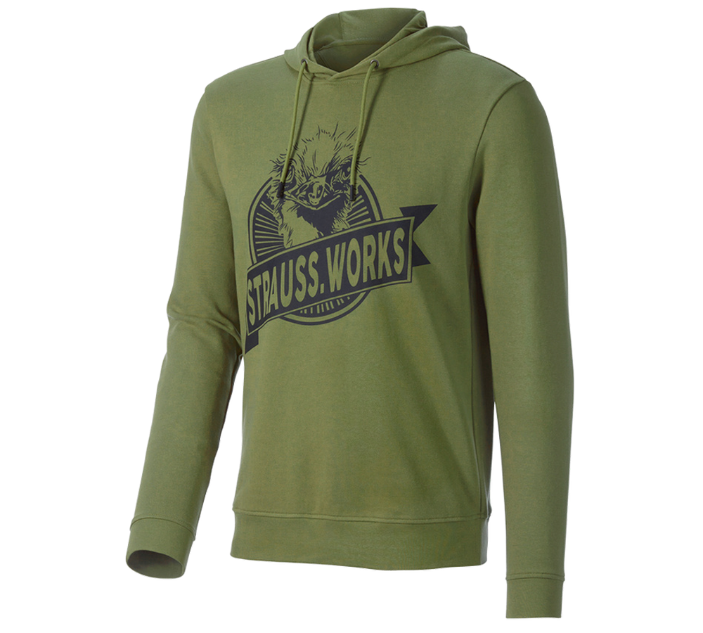 Onderwerpen: Hoody-Sweatshirt e.s.iconic works + berggroen