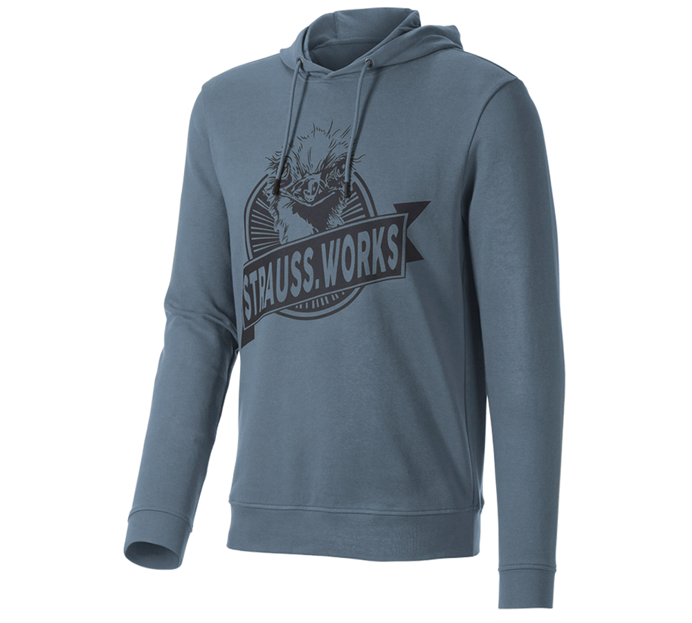 Kleding: Hoody-Sweatshirt e.s.iconic works + oxideblauw