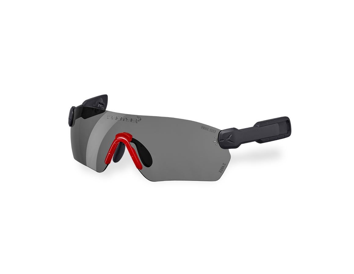 Accessoires: e.s. Veiligheidsbril  Protos® Integral + grijs gespiegeld