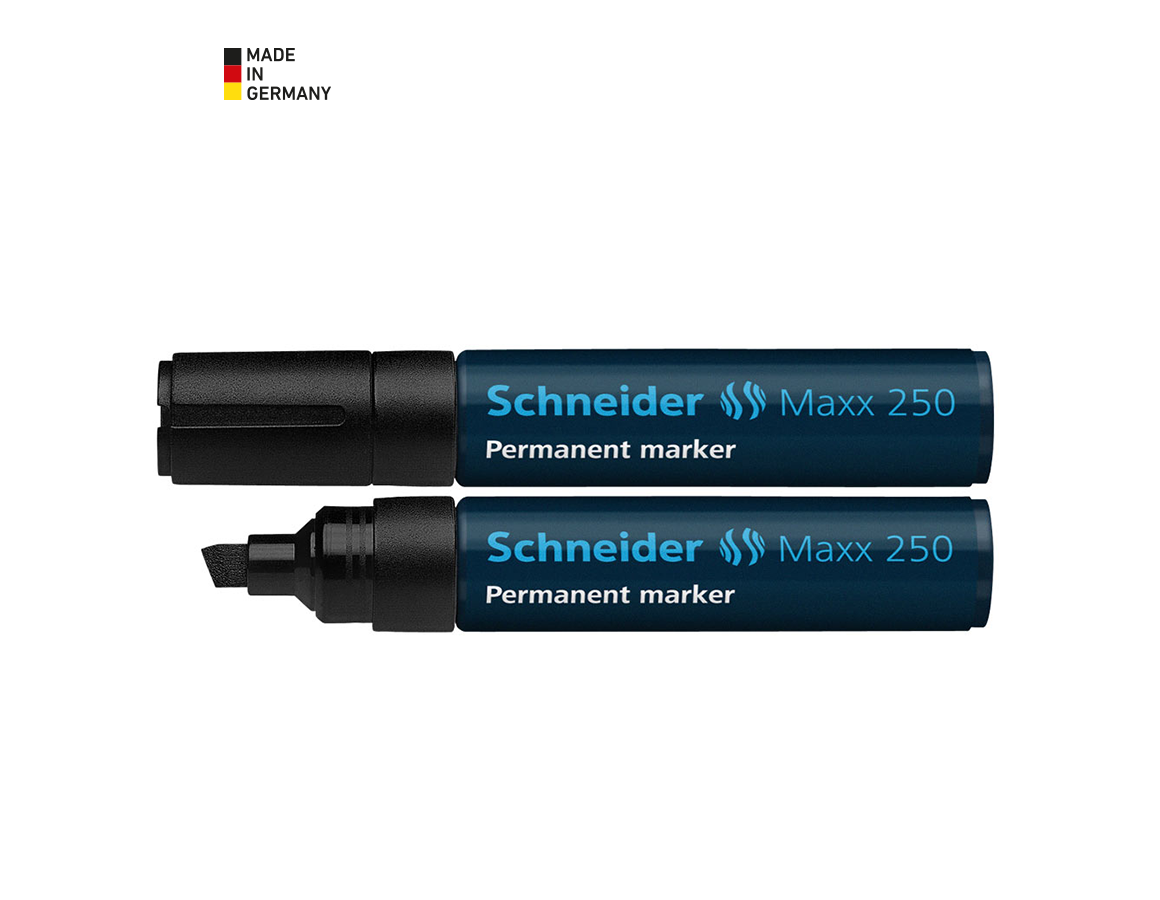 Schrijven | Corrigeren: Schneider Permanentmarker 250 + zwart