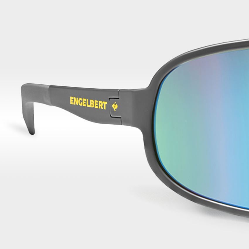 Veiligheidsbrillen: Race zonnebril e.s.ambition + antraciet 2