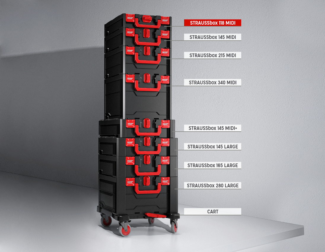 STRAUSSbox Systeem: STRAUSSbox gereedschapsset 118 Sanitair 4