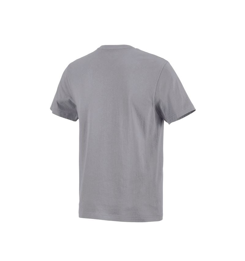 Tuin-/ Land-/ Bosbouw: e.s. T-Shirt cotton + platina 3