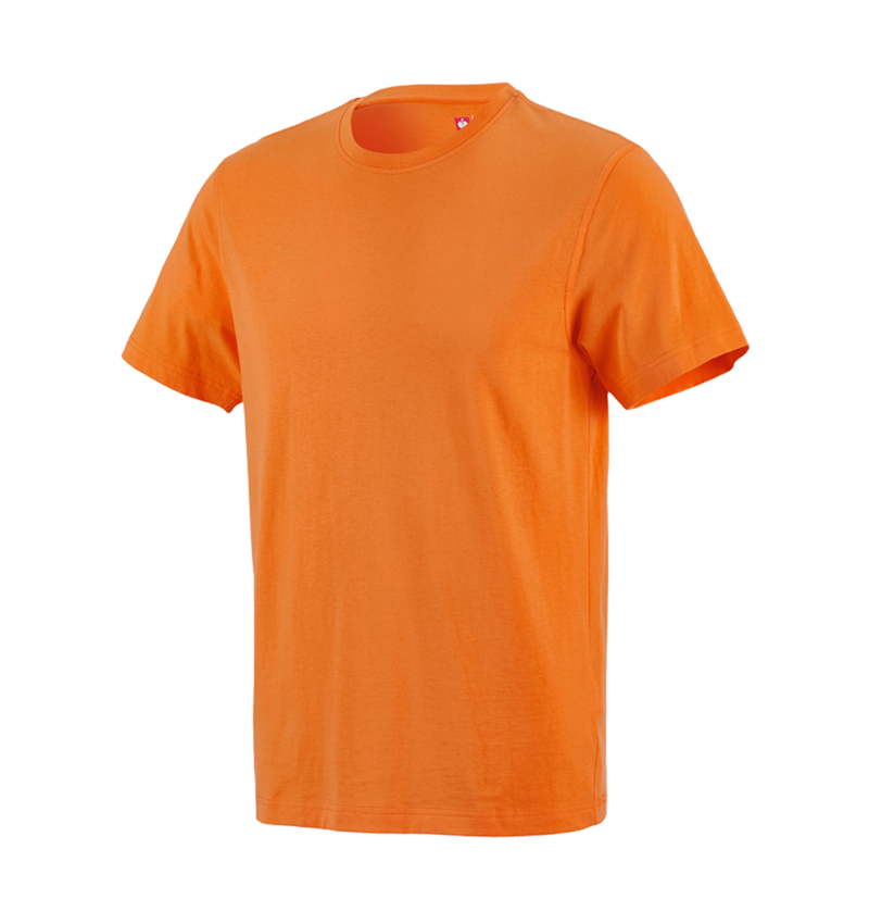Tuin-/ Land-/ Bosbouw: e.s. T-Shirt cotton + oranje 1