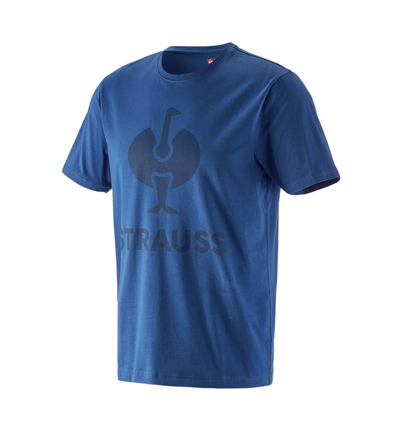 Bovenkleding: T-Shirt e.s.concrete + alkalisch blauw 2