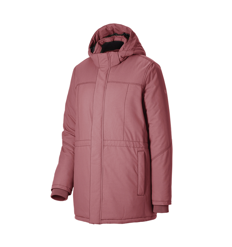 Kleding: Parka e.s.iconic, dames + oxiderood 7