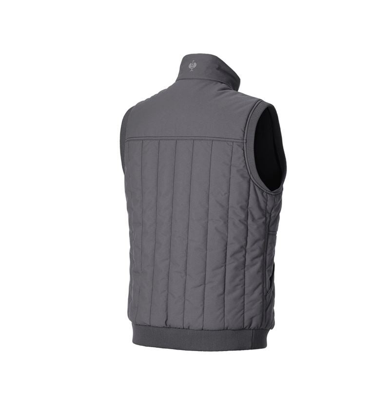 Werkvesten: Bodywarmer e.s.iconic + carbongrijs 6