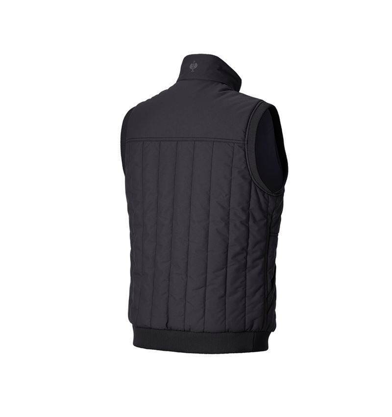 Werkvesten: Bodywarmer e.s.iconic + zwart 5