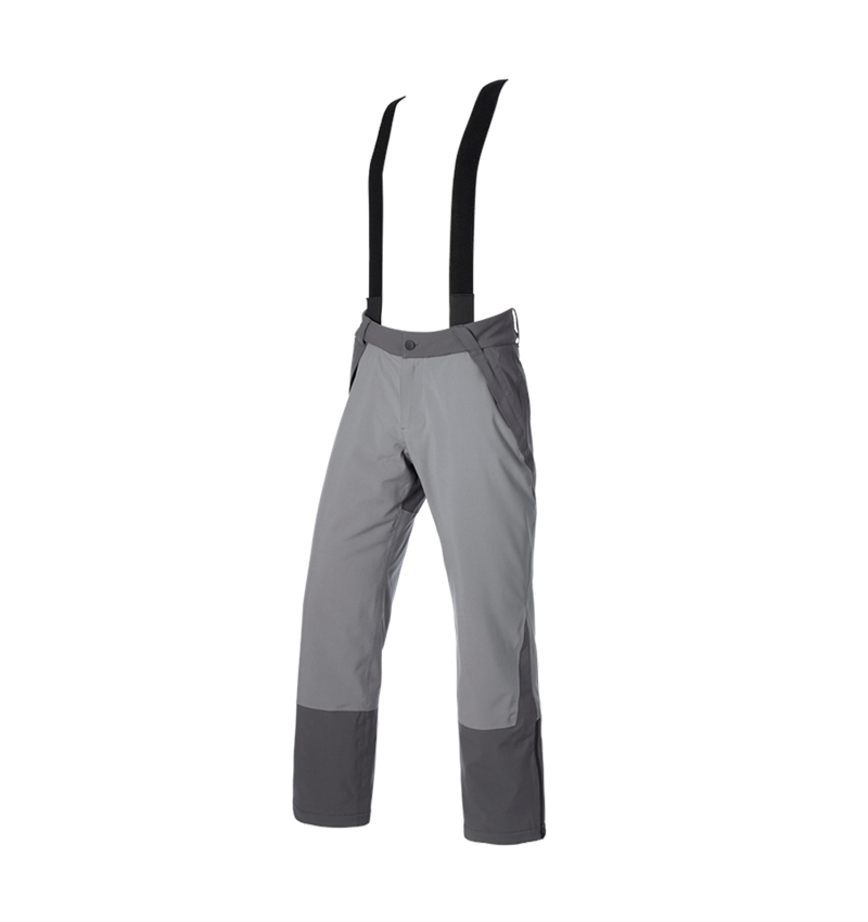 Werkbroeken: Functionele broek e.s.trail snow + carbongrijs/bazaltgrijs 5