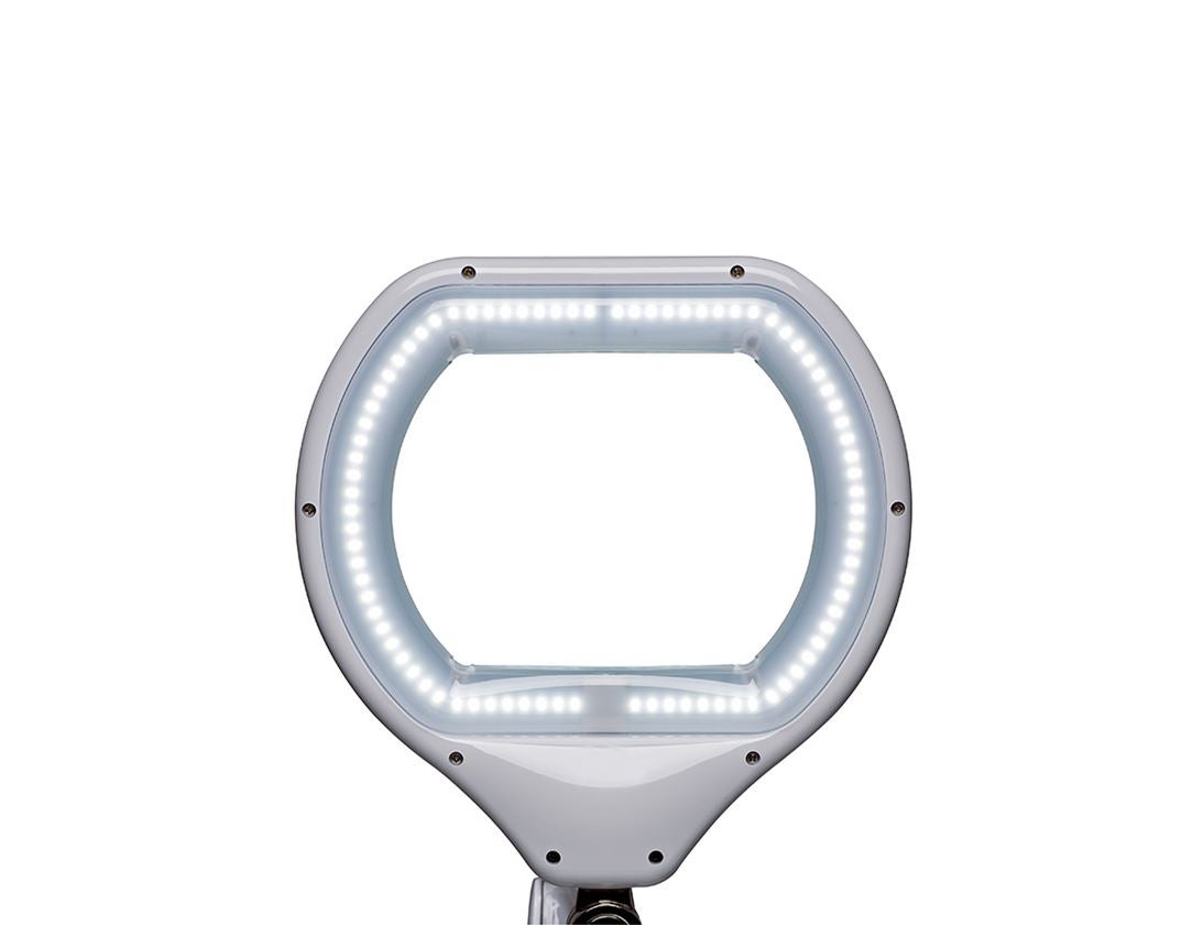 Lampen | verlichting: MAUL LED-loeplamp crystal, dimbaar 3