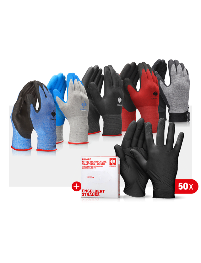 Sets | Accessoires: Handschoenenset voor professionals Auto III