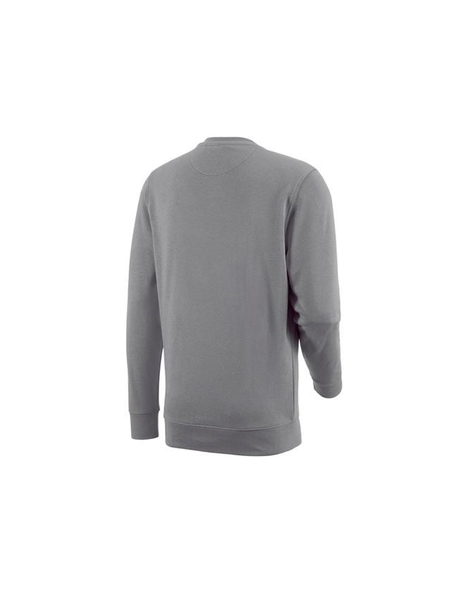 Tuin-/ Land-/ Bosbouw: e.s. Sweatshirt poly cotton + platina 3